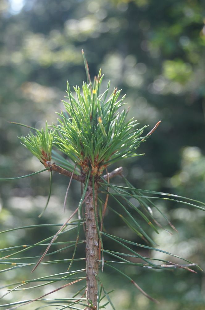 Photograph by Георгий Галкин