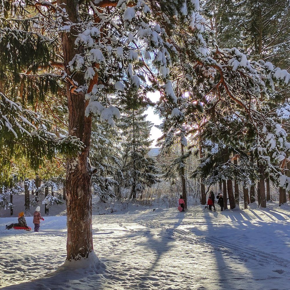 Photograph by Алексей Виноградов