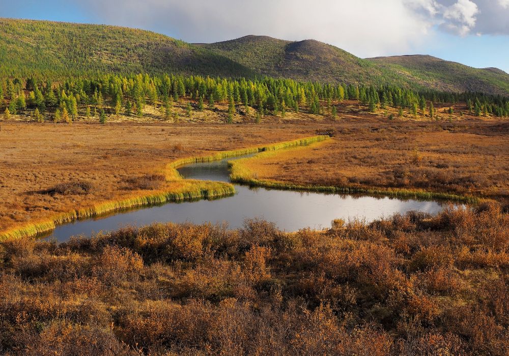 Photograph by Александр Попов