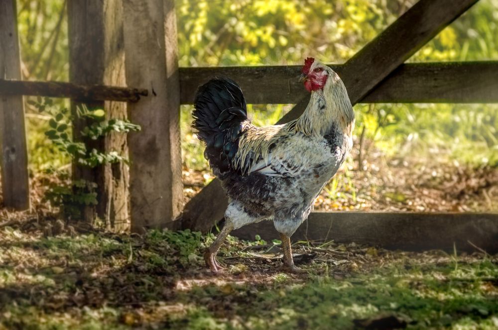 Photograph by Анастасия