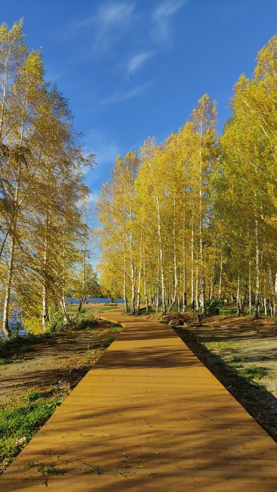 Photograph by Алексей Виноградов