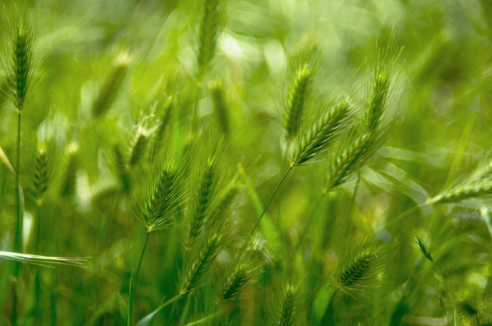 Photograph by Анастасия