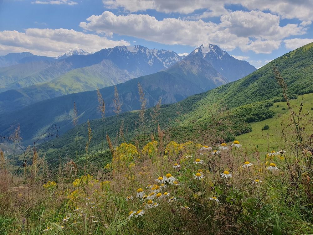 Photograph by Надежда Абрамова