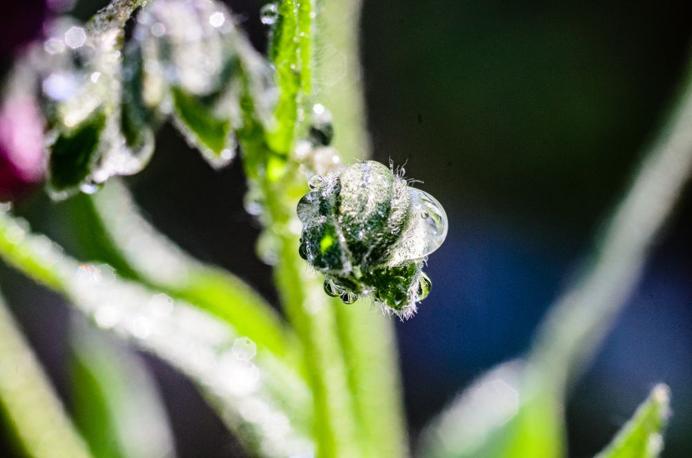 Photograph by Кузнецов Алексей