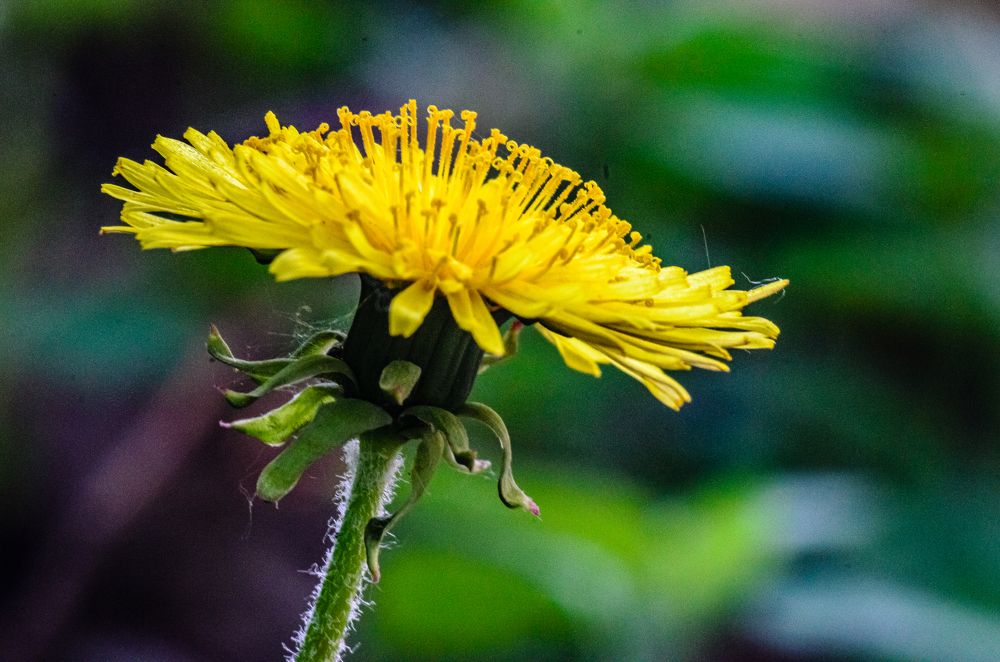 Photograph by Кузнецов Алексей