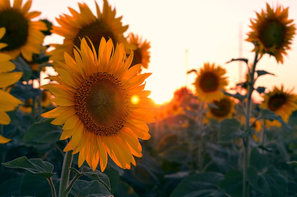 Photograph by Анастасия