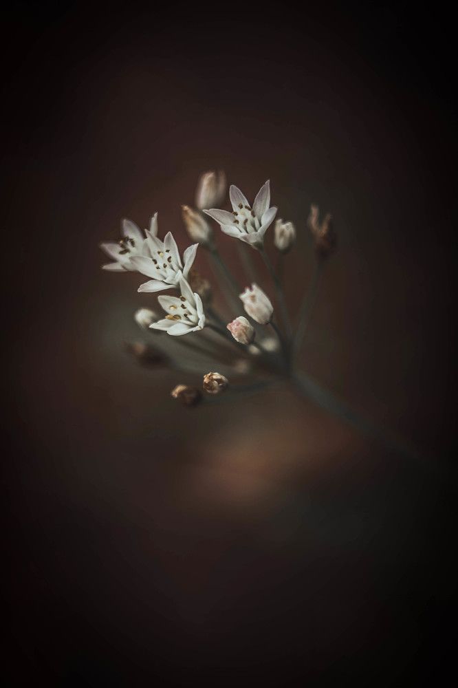 Photograph by Stephen Allen