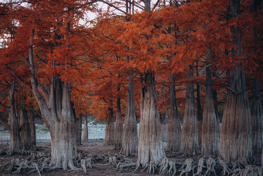 Photograph by Лина Лазарева