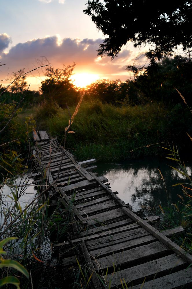 Photograph by Анастасия