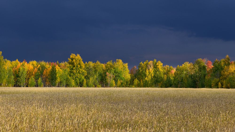 Photograph by Евгений Гецев