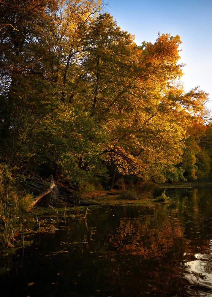 Photograph by Александр Купцов