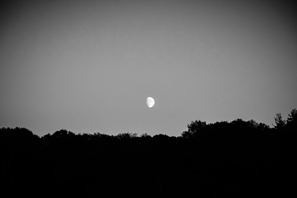 Photograph by Игорь Чечин