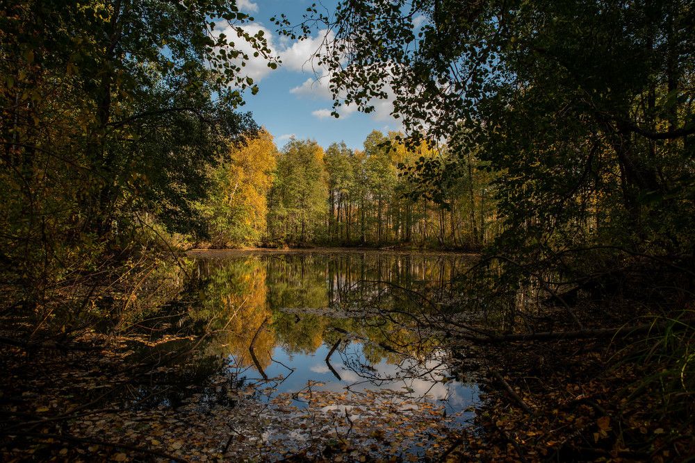 Фотография автора Сергей Чесноков