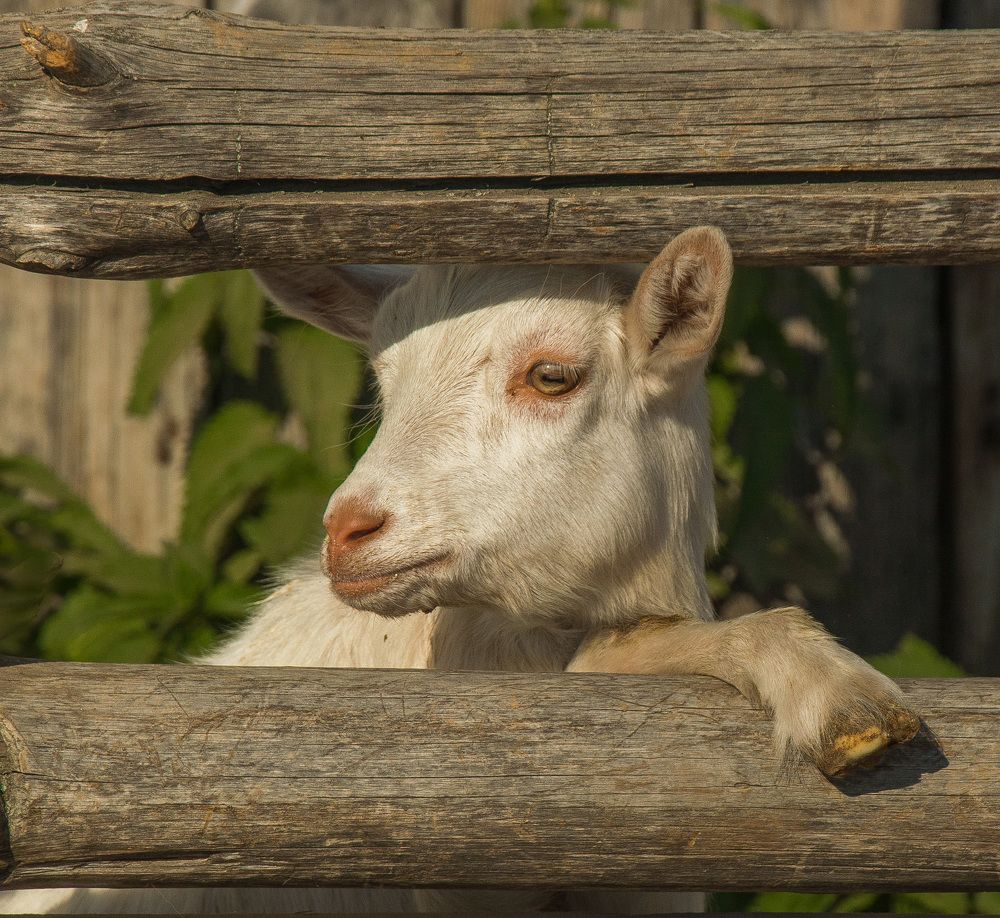 Photograph by Александр Халимов