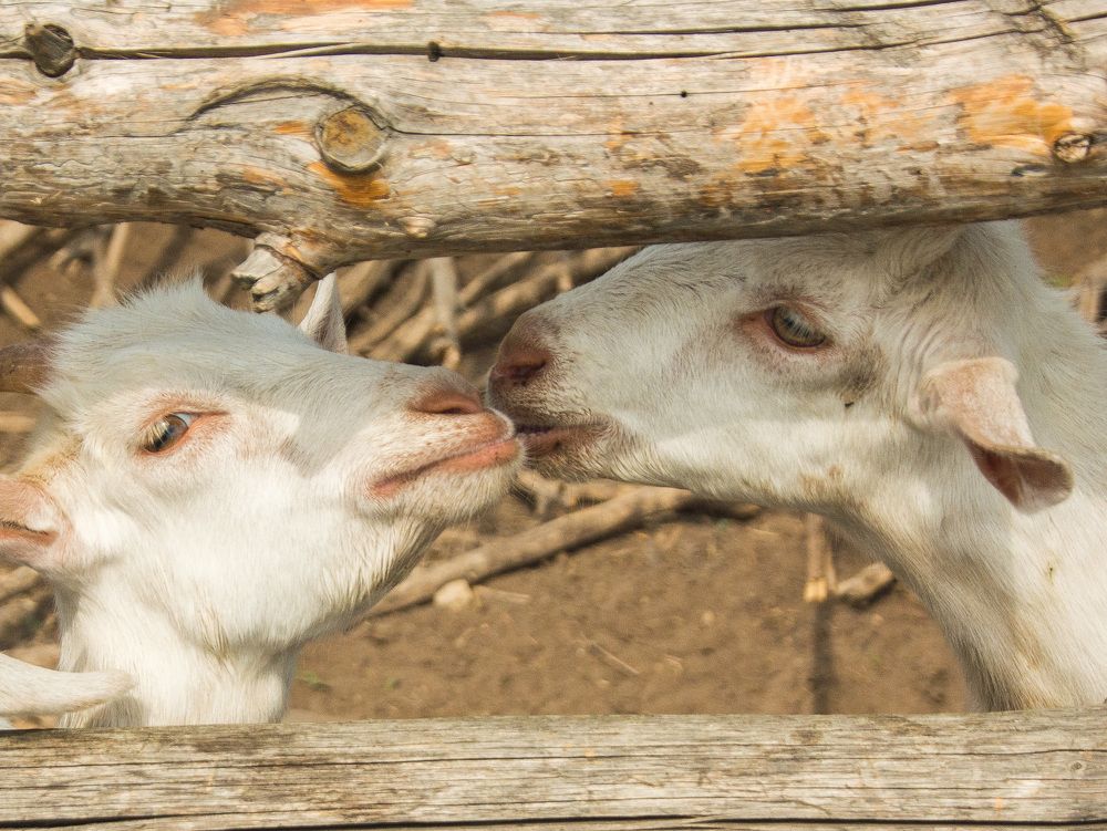 Photograph by Александр Халимов