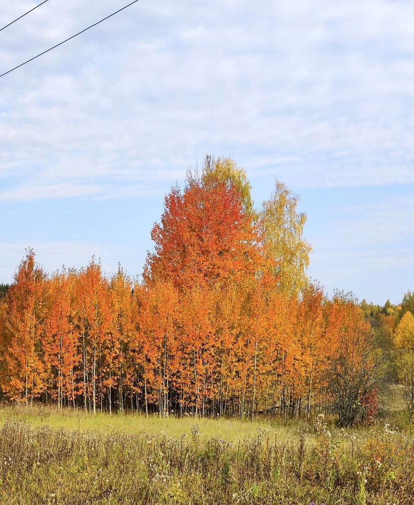 Photograph by Надежда