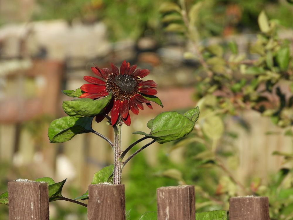 Photograph by Владимир Джерихов