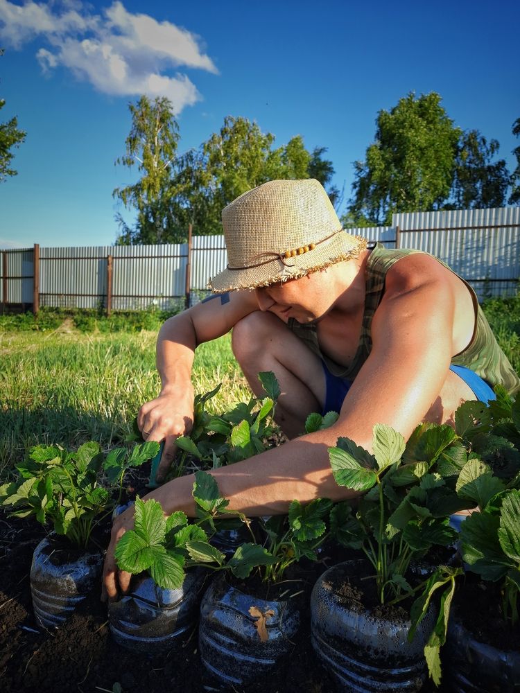 Photograph by Ксения Олина