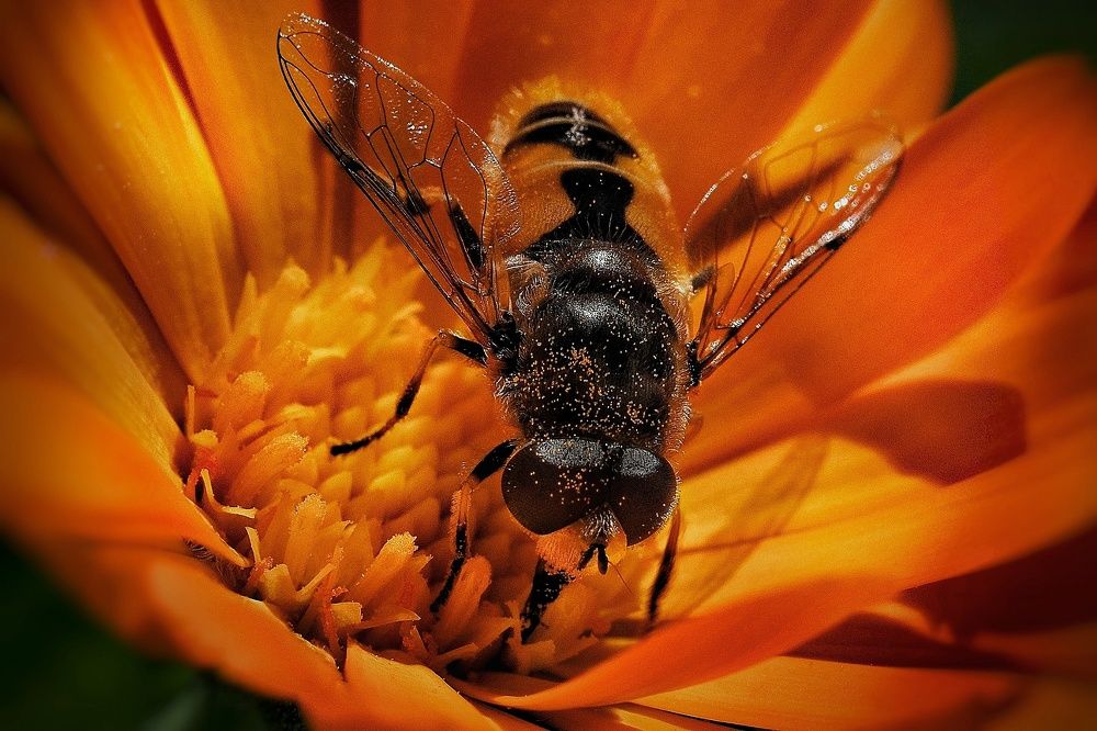 Photograph by Савчук Анатолий