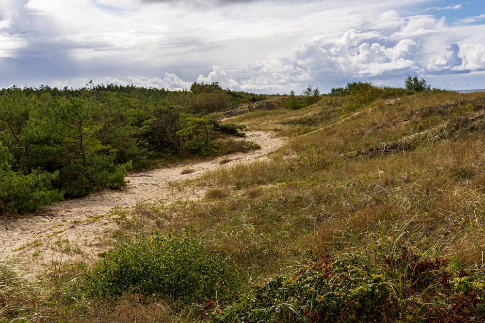 Photograph by Алексей Кузьмин