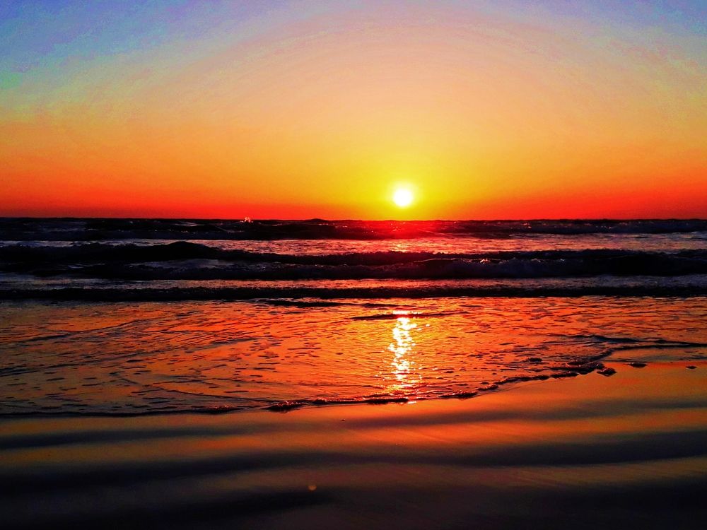 Photograph by Dilara C