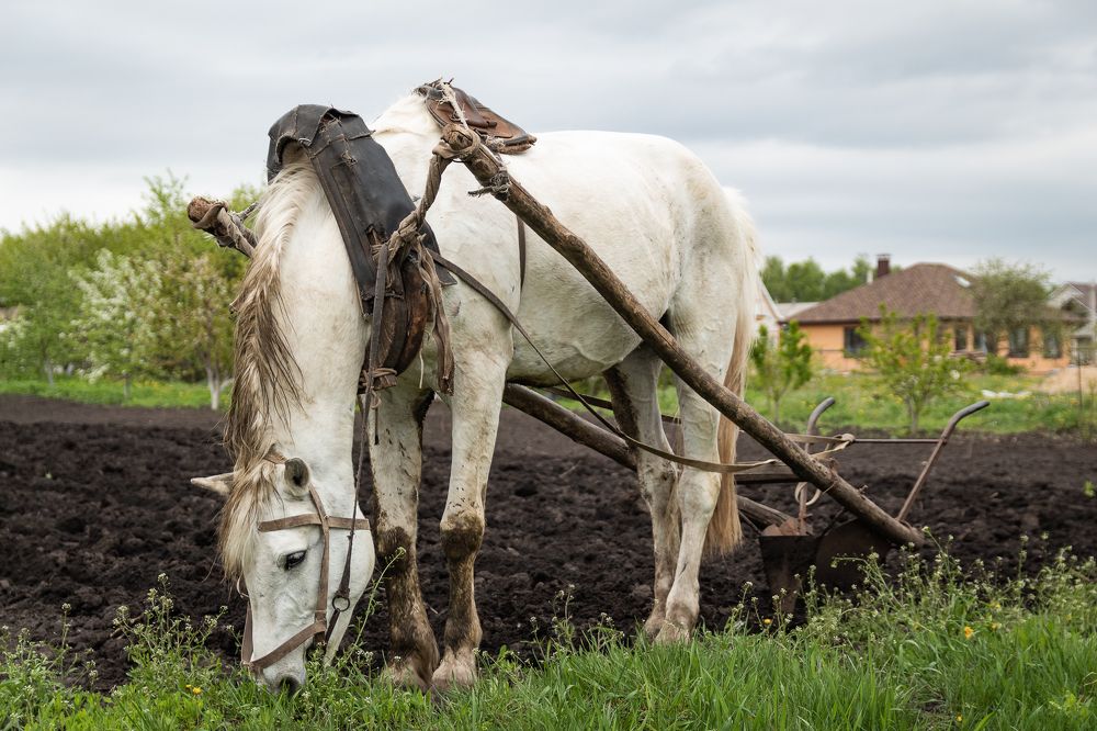 Photograph by Сергей Логвин