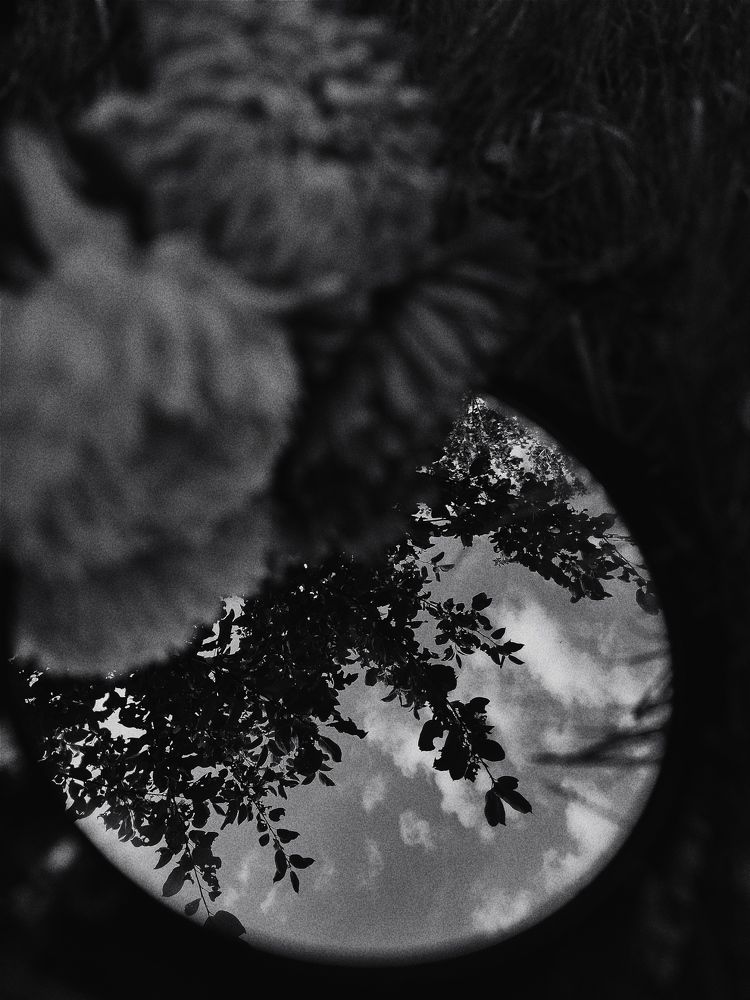 Photograph by Виктория