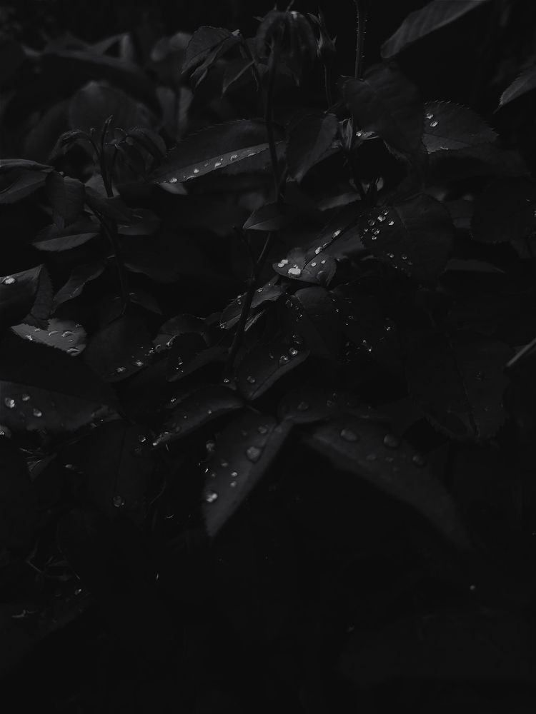 Photograph by Виктория