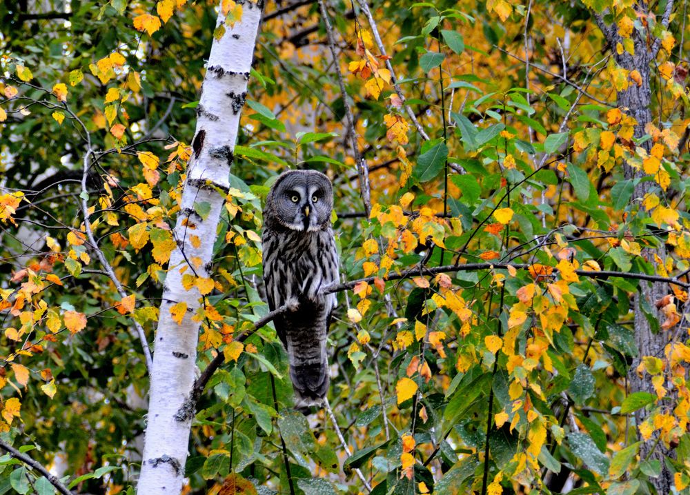 Photograph by Александр Зуев