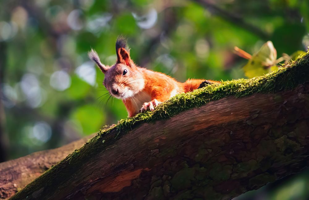 Photograph by Парфентьев Антон