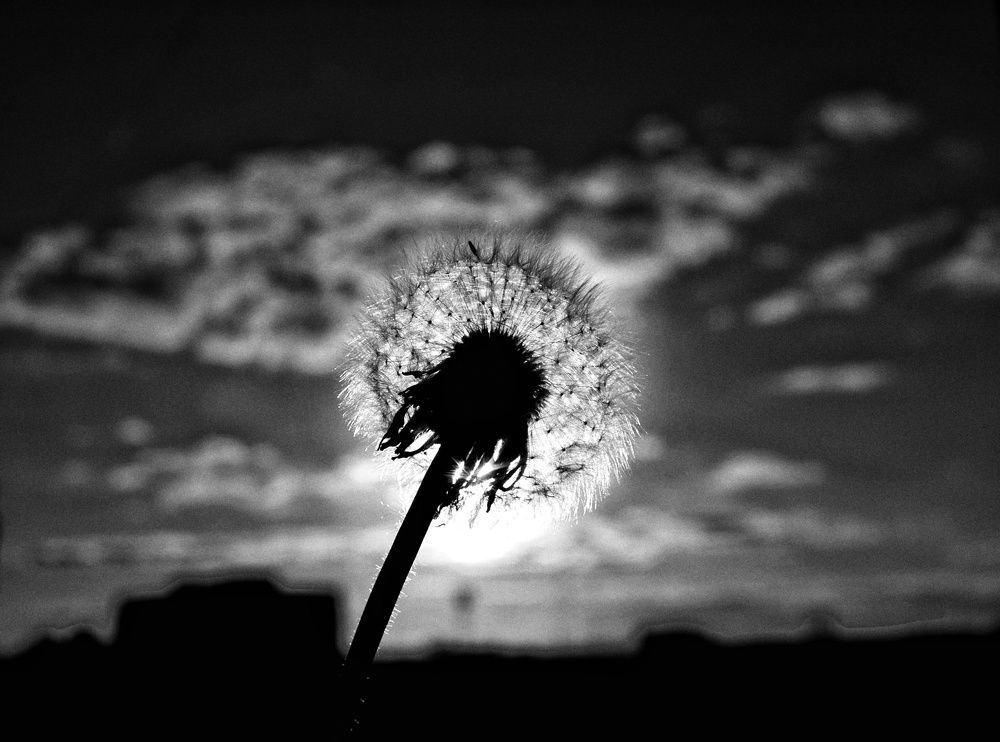 Photograph by Наталья Адалинская