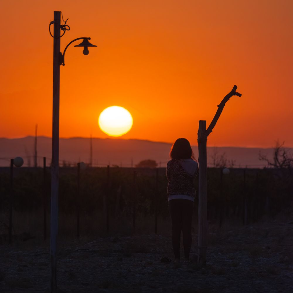 Photograph by Vahid Sabet