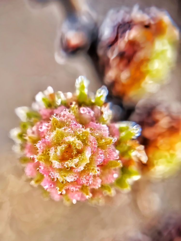 Photograph by Виктория Лобанова