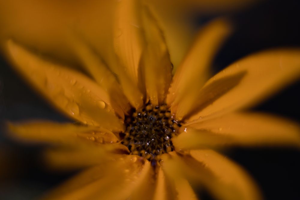 Photograph by Виктория Сид