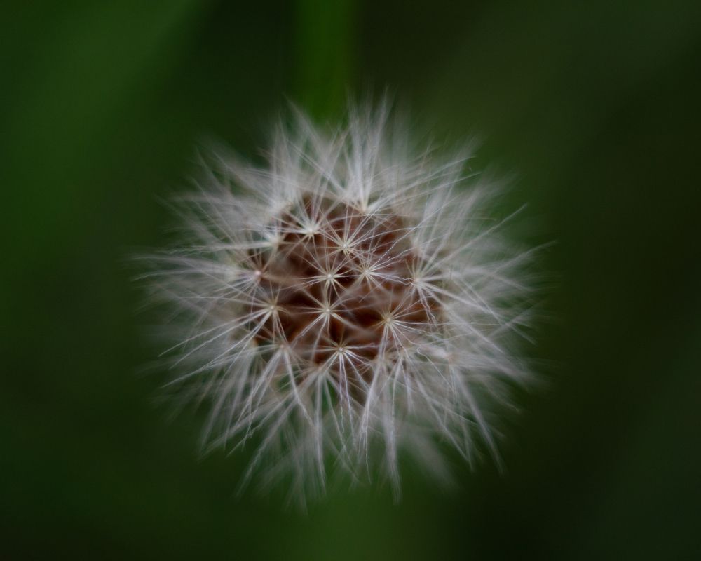 Photograph by Виктория Сид