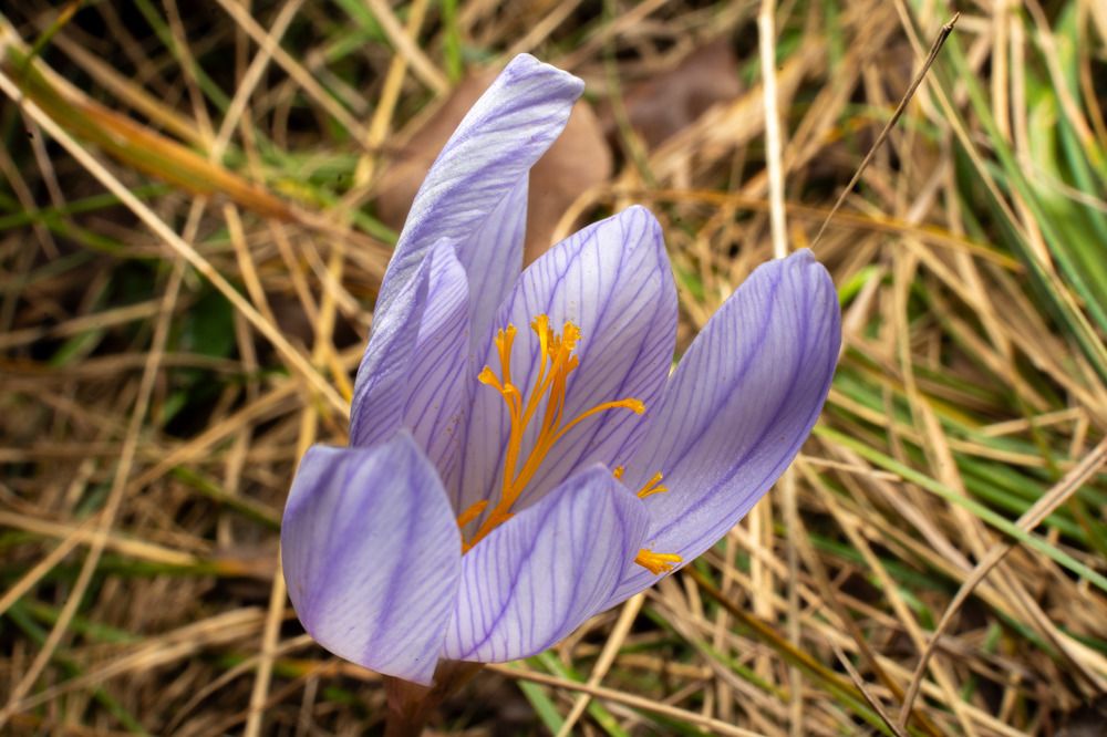 Photograph by Vahid Sabet