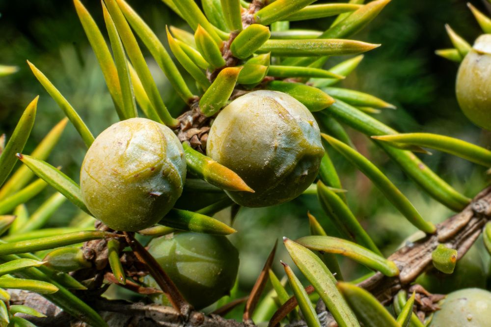 Photograph by Vahid Sabet