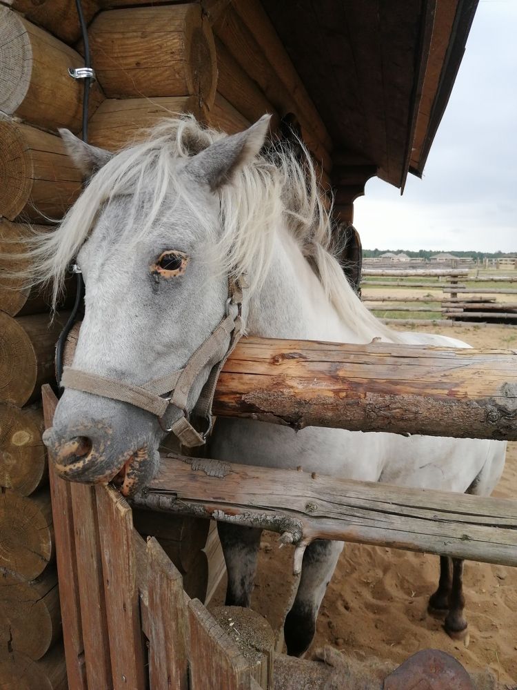 Photograph by Юлія Гацко