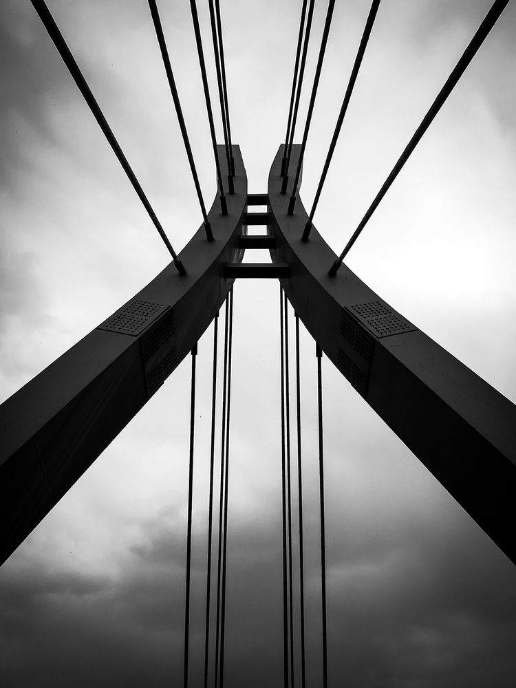 Photograph by Sahar Jafari