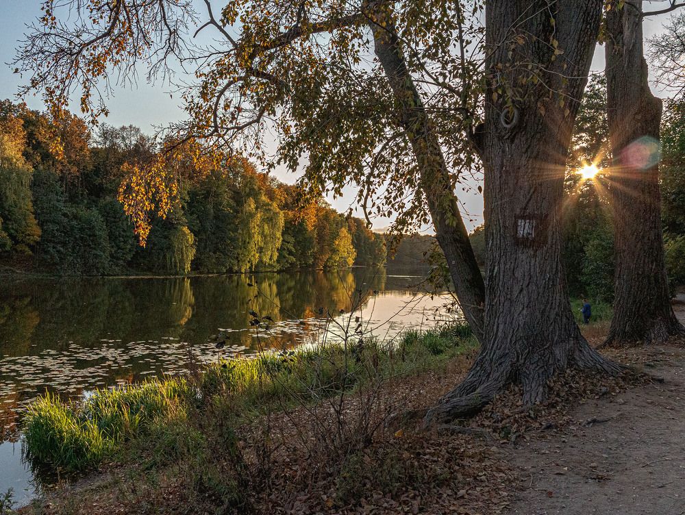 Photograph by Vladimir  Komarov