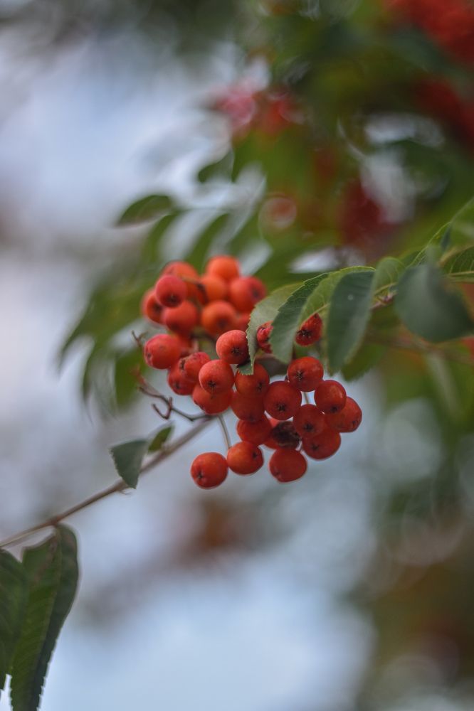 Photograph by Татьяна Сурова