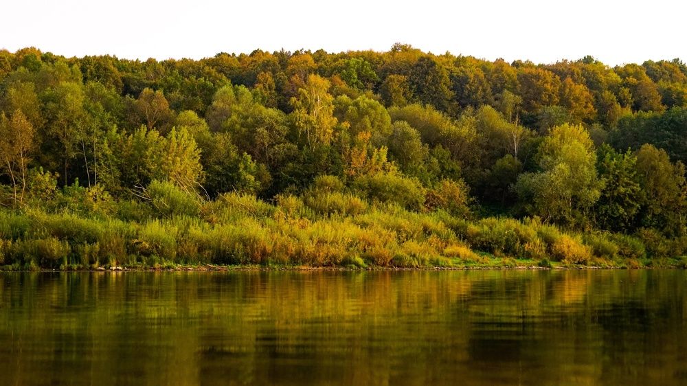 Photograph by Роман Трошин