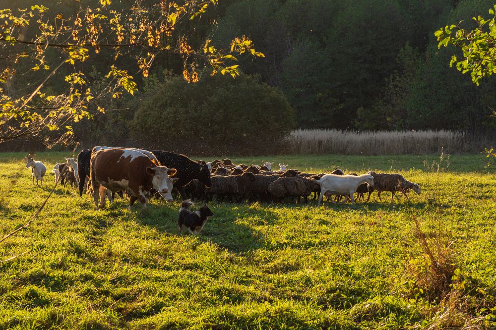 Photograph by Алексей Кузьмин