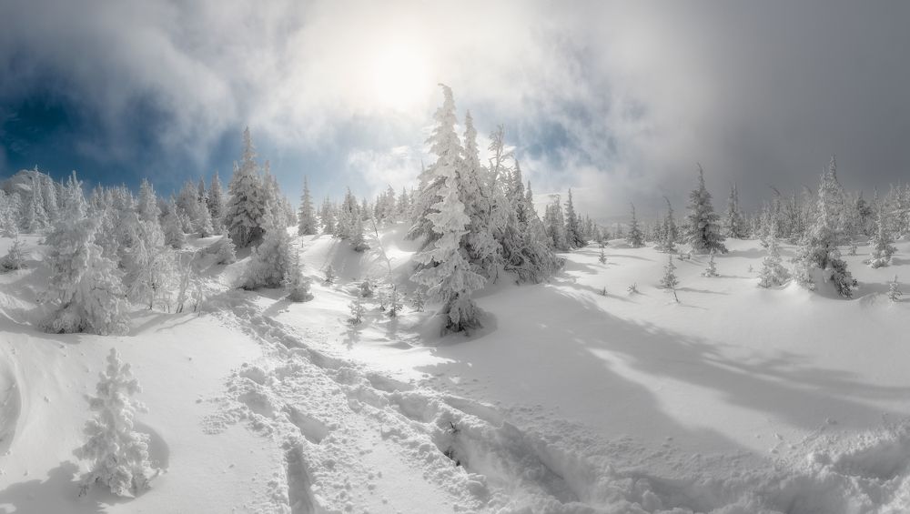 Photograph by Михаил Карпов