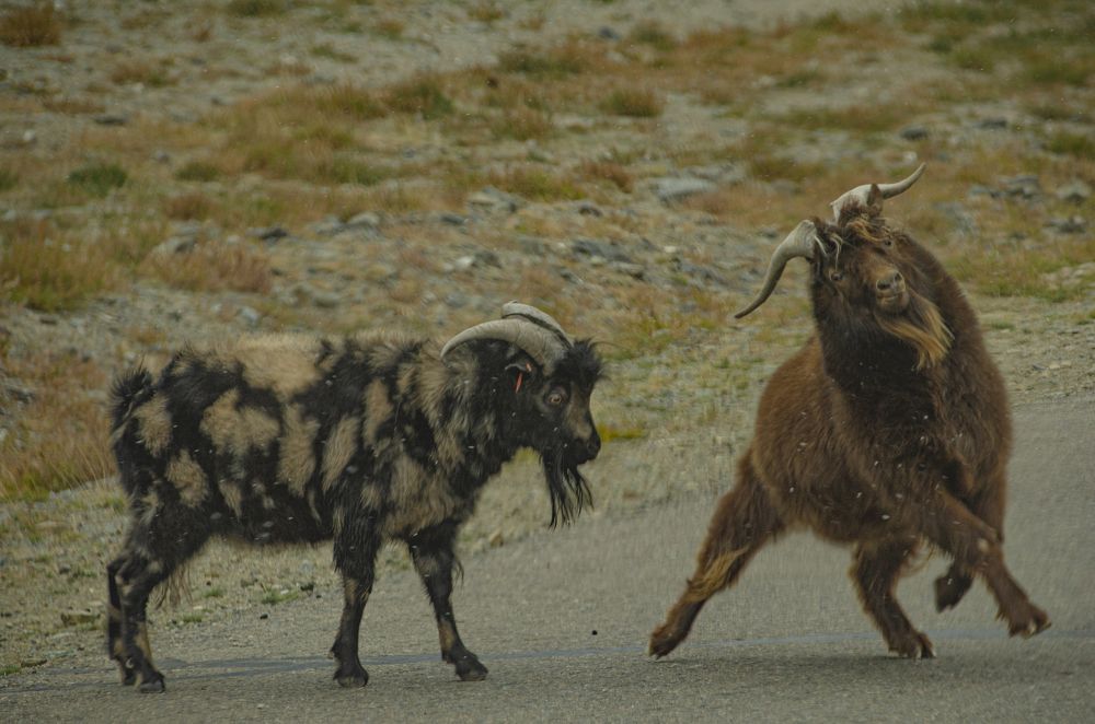 Photograph by Надежда Михайлина