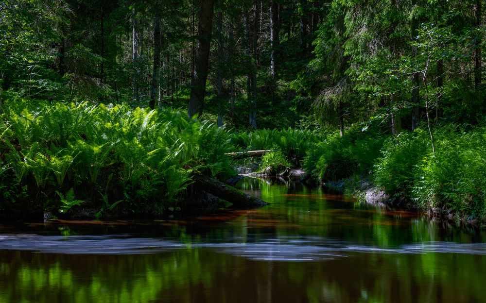 Photograph by Александр Кузнецов