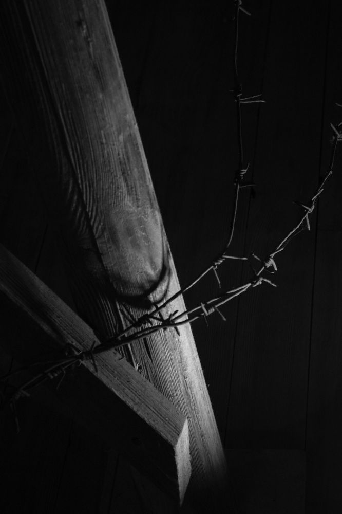 Photograph by Роман Вайдов