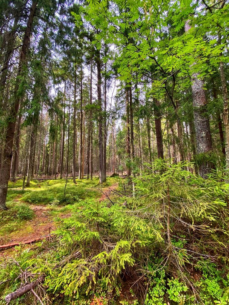 Photograph by Oksana Smorodina