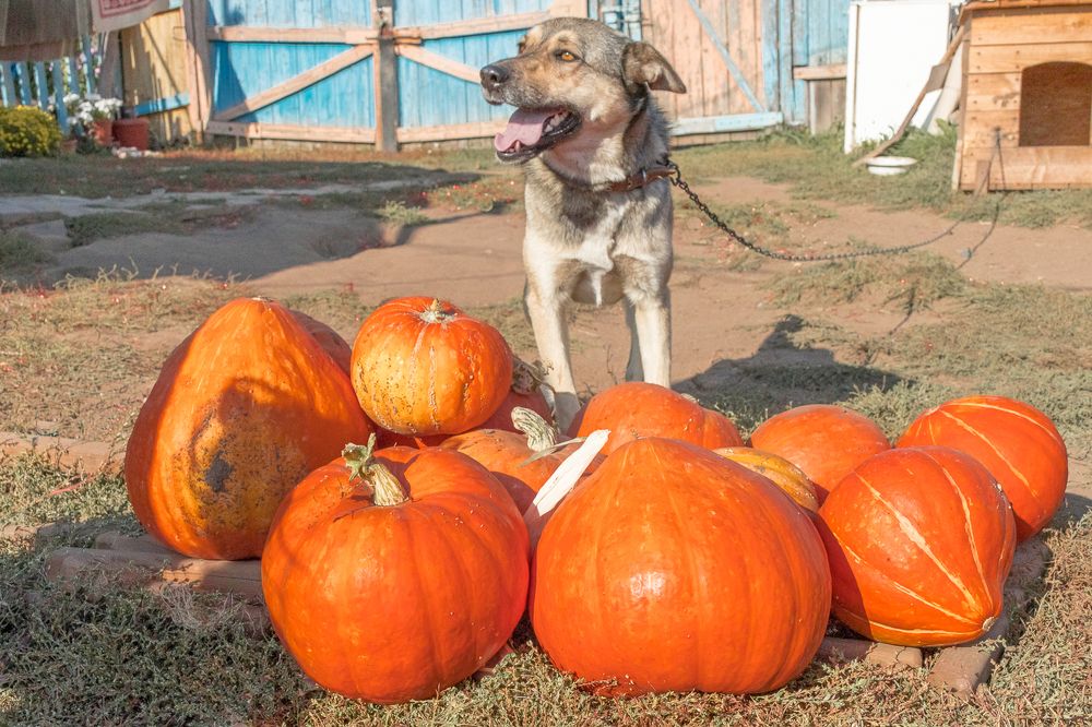 Photograph by Кермен Манджиева