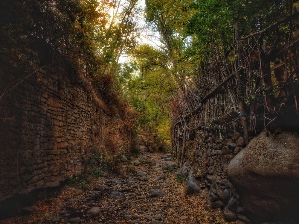 Photograph by ali asghar ahngari